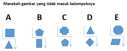 tes tpa online