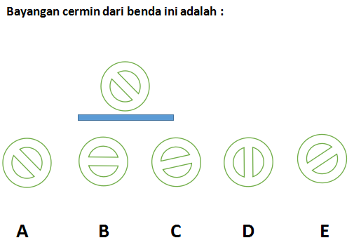 tes tpa online