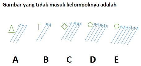 tes tpa online